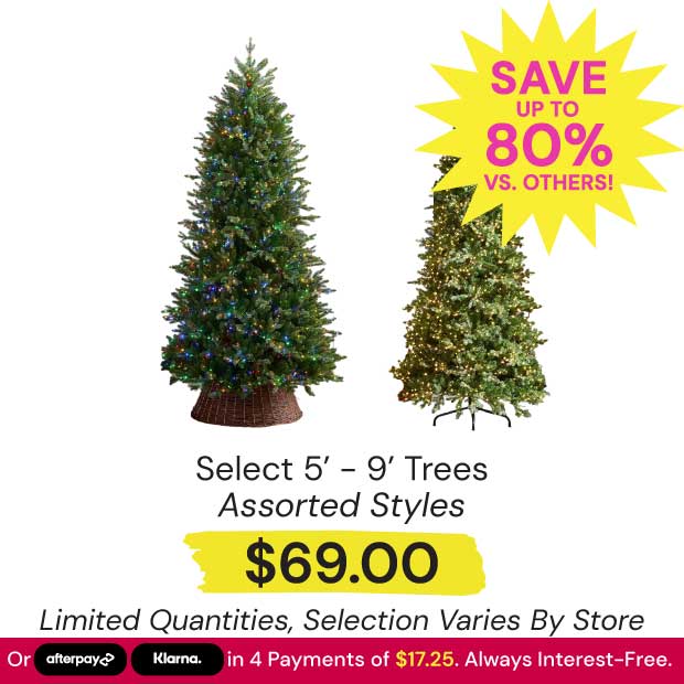 Assorted-5ft-9ft-Trees