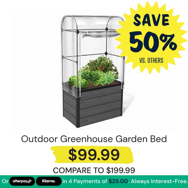 Outdoor-Greenhouse-Garden-Bed