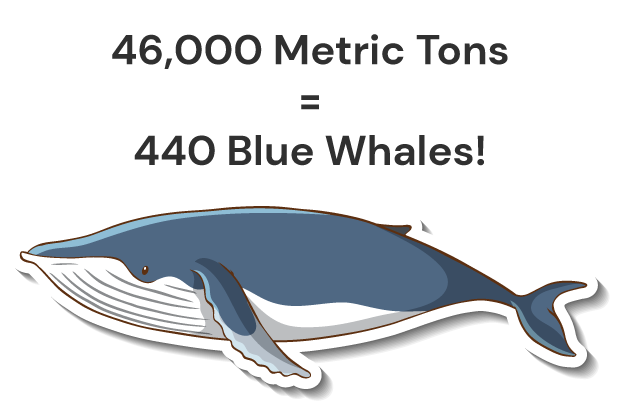 Blue-Whale-GraphicV2