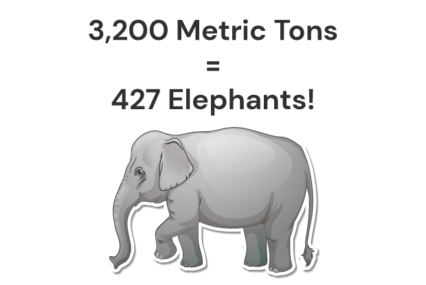 Elephant-Graphic