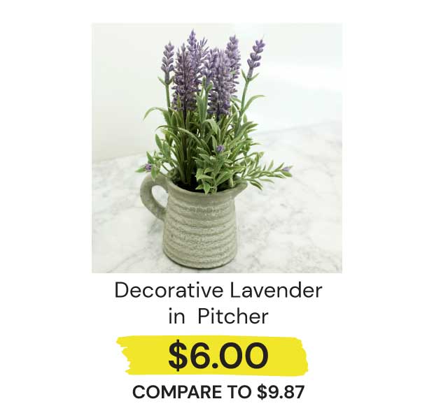 Lavender-Pitcher