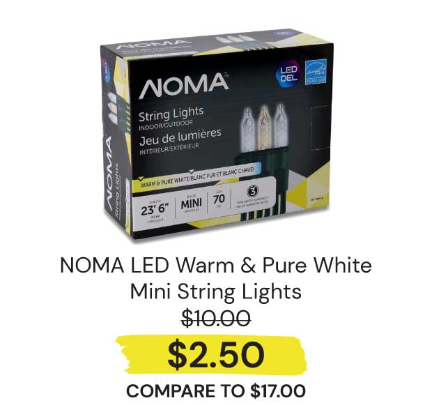 DECOR-NOMA-Lights-Mini-LED-Clear-Cool-White-Bulbs-70ct-Light-Set